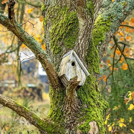 Lovely In Romo With Wifi * Rømø Kirkeby