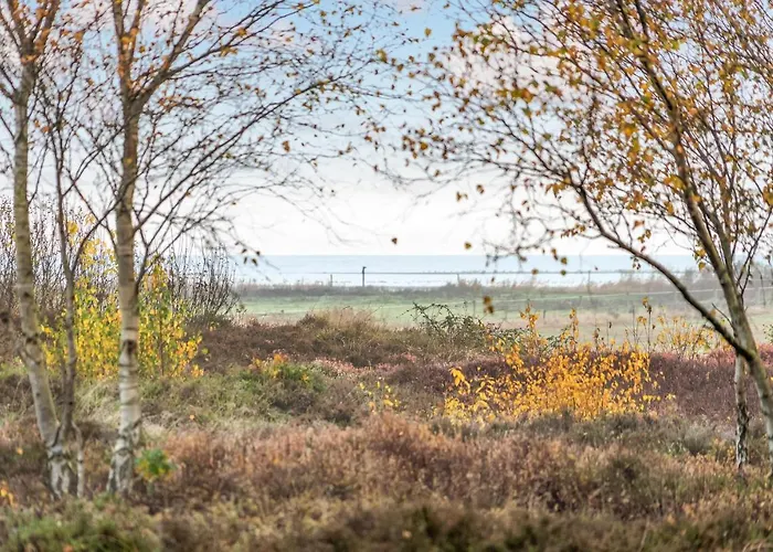 別荘 Lovely In With Wifi *