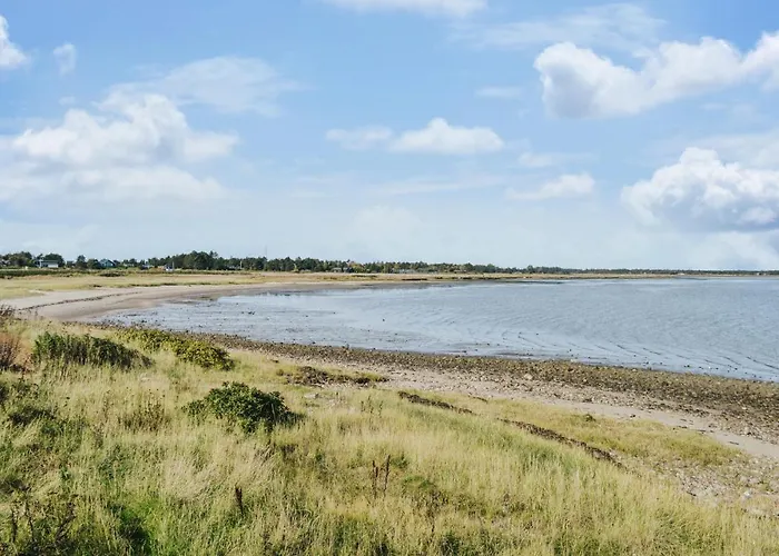 Lovely In With Wifi * Romo