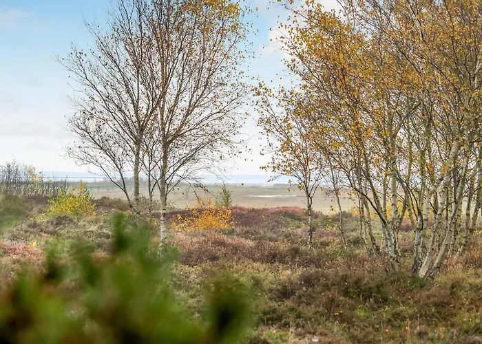 Lovely In With Wifi Holiday home